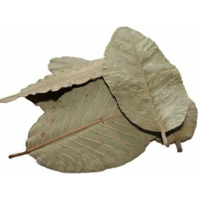 Ceramic Nature Listy Guave 15 ks – Hledejceny.cz