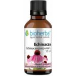 Bioherba Echinacea kvapky tinktúra 50 ml – Hledejceny.cz