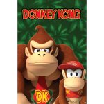 Plakát, Obraz - Nintendo - Donkey Kong And Diddy Kong, 61 × 91.5 cm – Zbozi.Blesk.cz