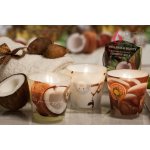 Bartek Candles Wellness & Beauty Argan Oil 115 g – Sleviste.cz