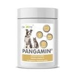 Dromy Pangamin pro psy a kočky 800 tbl. - exp.6/26 - 1ks skladem – Hledejceny.cz