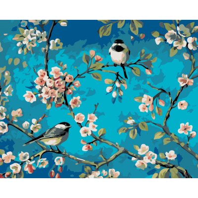 ZUTY Malování podle čísel DVA SEDÍCÍ PTÁCI 40 x 50 cm – Zboží Dáma
