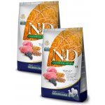 N&D Ancestral Grain Dog Adult Medium & Maxi Lamb & Blueberry 2 x 12 kg – Sleviste.cz