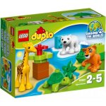 LEGO® DUPLO® 10801 Mláďátka – Hledejceny.cz