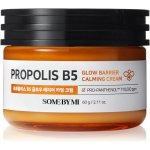 Some By Mi Propolis B5 Glow Barrier Calming Cream 60 g – Hledejceny.cz