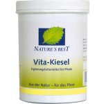 Nature's Best Vita Kiesel 0,7 kg – Hledejceny.cz