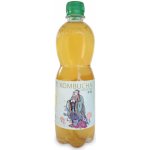 Stevikom Kombucha zelený čaj 0,5 l – Zboží Dáma