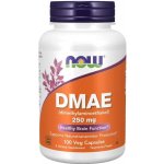 Now Foods DMAE 250 mg 100 kapslí – Hledejceny.cz