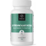 STABILIS Střevní kartáček 60 tobolek – Hledejceny.cz