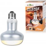 Repti Zoo Intense Basking Spot 75 W – Zboží Dáma