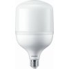 Žárovka Philips Žár.LED TrueForce Core 35W E27