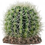 Hobby Kaktus Sonora M 15 x 15 x 13 cm – Zboží Mobilmania
