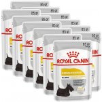 Royal Canin Dermacomfort Dog Loaf 12 x 85 g – Sleviste.cz