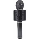 R2INVEST WS 858 BEZDRÁTOVÝ MIKROFON KARAOKE černý – Sleviste.cz