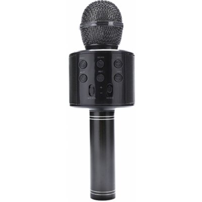 R2INVEST WS 858 BEZDRÁTOVÝ MIKROFON KARAOKE černý – Sleviste.cz