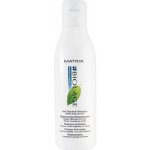 Matrix Biolage ScalpSync Anti Dandruff Shampoo 250 ml – Zbozi.Blesk.cz