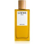 Loewe Solo Mercurio parfémovaná voda pánská 100 ml – Hledejceny.cz