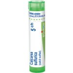 CALCAREA SULFURICA POR 5CH GRA 1X4G – Hledejceny.cz
