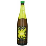 Hruška Hroznová šťáva bílá vinařství 750 ml