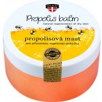 Palacio Propolisová bylinná mast 100 ml – Zboží Dáma