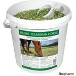 Leros Pulmoran Horse 1300 g – HobbyKompas.cz