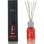 Millefiori Milano aroma difuzér jablko a skořice 100 ml – Zbozi.Blesk.cz