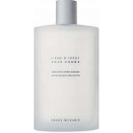 Issey Miyake L´Eau D´Issey pour Homme voda po holení 100 ml – Zboží Dáma