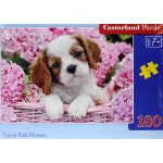 Castorland Štěňátko v růžových květinách 180 dílků – Sleviste.cz