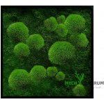 Mechový obraz Dark moon 56 x 56 cm | černý tenký rám | Mech centrum – Zboží Mobilmania