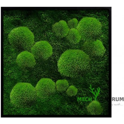 Mechový obraz Dark moon 56 x 56 cm | černý tenký rám | Mech centrum – Zboží Mobilmania