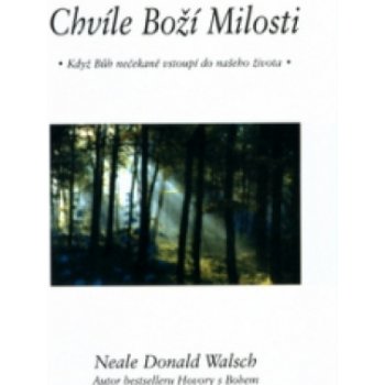 Chvíle Boží milosti -- Když Bůh nečekaně vstoupí do našeho života - Neale Donald Walsch