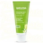 Weleda Citrusový krém na ruce a nehty 50 ml – Hledejceny.cz