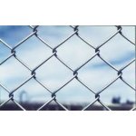 Pozinkované pletivo 200 cm se zapleteným nap. drát – Sleviste.cz