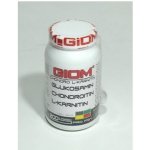 GIOM ERA Chondro L-karnitin 400 g – Hledejceny.cz