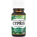 Saloos esenciální olej Cypřiš 5 ml – Hledejceny.cz