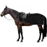 HORZE Bederní deka Kiel fleecová black – Zboží Dáma HORZE Bederní deka Kiel fleecová black – Zboží Dáma