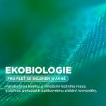 Bioderma Sébium Serum koncentrované sérum 30 ml – Zboží Dáma