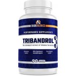 Androrganics TRIBANDROL 90 kapslí – Hledejceny.cz