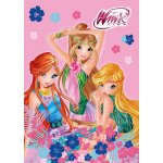 Strawberry   Winx Omalovánkový vánoční komplet – Zbozi.Blesk.cz