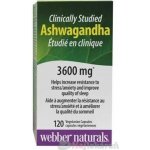 Webber Naturals Ashwagandha 3600 mg 120 kapslí – Hledejceny.cz