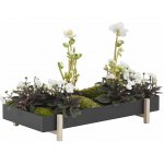 Květináč Botanic Tray od Design House Stockholm – Hledejceny.cz