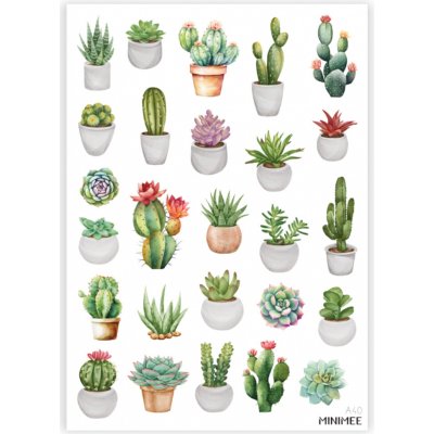 MINIMEE Papírové samolepky v aršíku A5 Sukulenty – Zboží Dáma