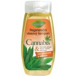 BC Bione Cosmetics Bio Cannabis regenerační výživný šampon 260 ml – Hledejceny.cz