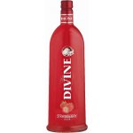 Boris Jelzin Cherry 16,6% 1 l (holá láhev) – Zbozi.Blesk.cz