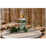 Purity Vision Bio Mátová voda 100 ml – Hledejceny.cz