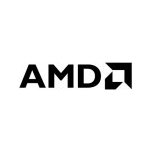 AMD Ryzen 3 PRO 8300G 100-100001187MPK – Zboží Živě