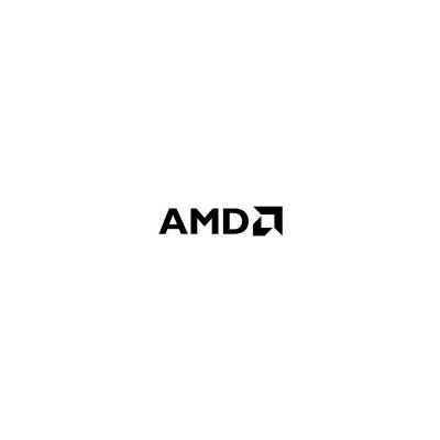 AMD Ryzen 3 PRO 8300G 100-100001187MPK – Zboží Živě