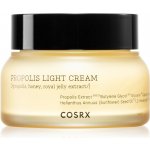 Cosrx Propolis Light Cream 65 ml – Hledejceny.cz