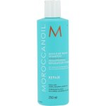Moroccanoil Moisture Repair Shampoo 250 ml – Zboží Mobilmania