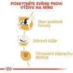 Royal Canin French Bulldog Adult 3 kg – Sleviste.cz